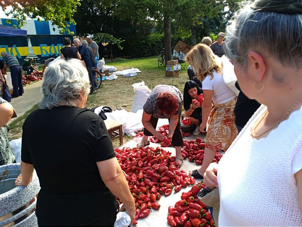 Ајвар прави свака домаћица
